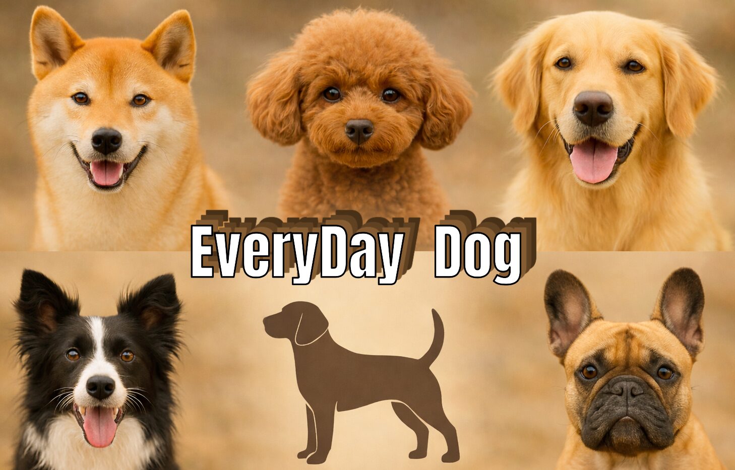 Everyday Dog